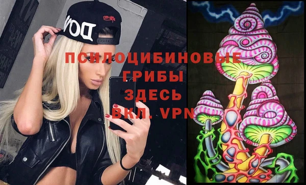 прущий лед Аркадак