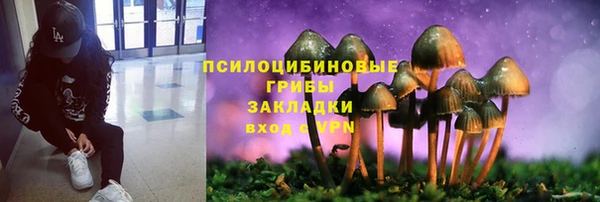 прущий лед Аркадак