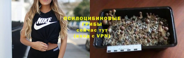 прущий лед Арсеньев