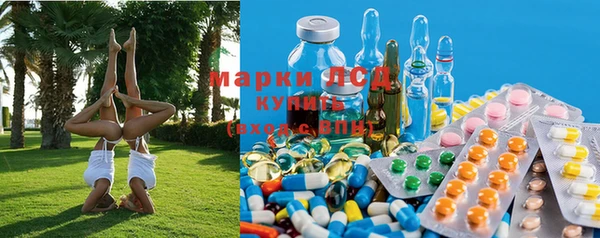 прущий лед Аркадак