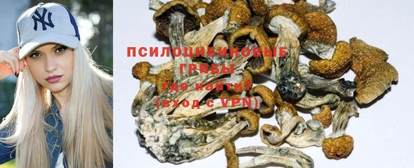 прущий лед Аркадак