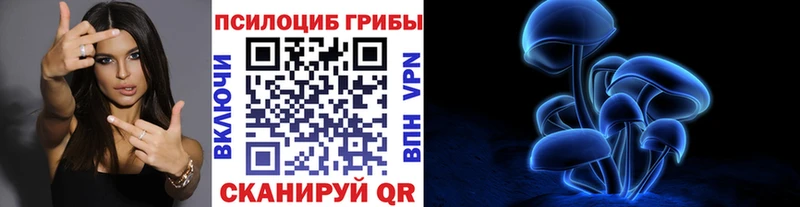 Псилоцибиновые грибы Cubensis  MEGA зеркало  Липки  сколько стоит 