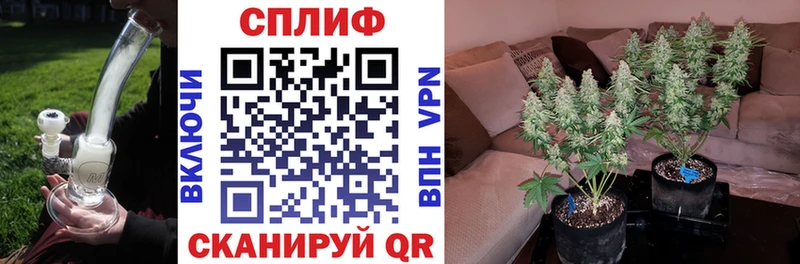 shop официальный сайт  Липки  Шишки марихуана White Widow 